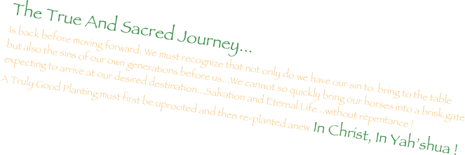 The True And Sacred Journey...
Is back before moving forward. We must recognize that not only do we have our sin to  bring to the table but also the sins of our own generations before us...We cannot so quickly bring our horses into a brisk gate expecting to arrive at our desired destination...Salvation and Eternal Life...without repentance !
A Truly Good Planting must first be uprooted and then re-planted anew In Christ, In Yah’shua !