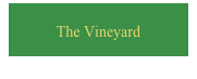 The Vineyard